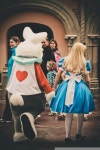 Tweet / Twitter Twitter / tokki_kb: @girlish_bot 시계토끼와 ... | Alice in wonderland, Disney, Alice
