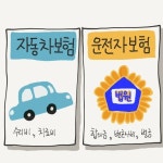 자동차보험이 있는데 운전자보험을 꼭 해야하는 이유가 있나요