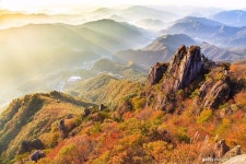 허브줌 - 사진보기