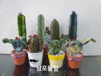 #손으로 만드는 세상님이 선인장에 올린 아이디어 | 선인장