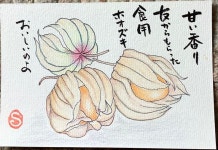 「에테가미」おしゃれまとめの人気アイデア｜Pinterest｜Soojin【2025】 | 美しい花, 美しい, 花