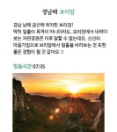 힐링, 8체질 생활건강 - 해돋이 명소 추천 ... : 카카오스토리