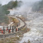 고창복분자 _ 해풍복분자 _ 복분자에 있는 고창흙쟁이님의 핀