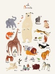 Whos Got My Tail (global) www.whosgotmytail.com | 그래픽 일러스트, 귀여운 동물 그림, 일러스트레이션