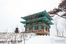 역사는 짧아도 안면도의 바다를 한 눈에 볼 수 있는 고즈넉한 공간, 충남 태안 안면암 | Korea travel, South korea travel, Trip planning