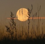 Pin page Pin by cami on we were like gods at the dawning of the world | Gold moon, Under the moon, Beautiful images