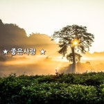 성품이 온유한 사람... 머리를 써서 상대를 차갑고 냉철하게 하는 사람보다, 가슴을 써서 만나고 나면 가슴이 따뜻해 지는 사람... 마음이 힘든 날엔... 