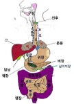 오장육부