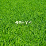 꿈꾸는 언덕