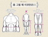 참고에 있는 do님의 핀 - 2023 | 드로잉 강좌, 해부학 그림, 체형 드로잉