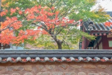 유토이미지 | 이미지·일러스트·그래픽·영상을 검색하세요.