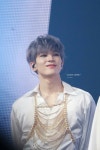 190830 ODE TO YOU WORLD TOUR in Seoul Day 1 #SEVENTEEN #WONWOO | 원우, 세븐틴, 루브르