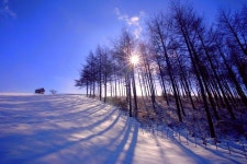 산림문화작품공모전 입선/우제용(양떼목장의 설경) ※ 본 저작물의 무단전제 및 재배포를 금합니다. copyright ⓒ 2013 by... 