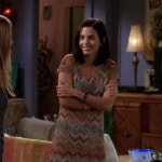 Pin by ★웃 on Friends in 2022 | Monica friends, Monica geller, Amy santiago