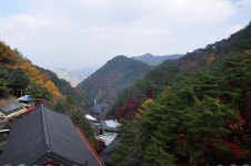 Pin by 아랑 on 물고기자리 in 2023