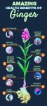 Vitamin b6 foods에 관한 상위 25개 이상의 Pinterest 아이디어 | 비타민