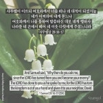 사무엘상 28:16-17