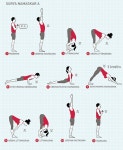 yoga에 관한 9개의 최상의 Pinterest 이미지 | 요가 운동, 요가 순서 및 요가 포즈 yoga