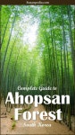 Ahopsan Forest (아홉산숲) in Busan: Complete Guide