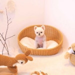 #우리콩이 #몽그리다 #소중해 #february #콩이 #222020 #photo... 소중해 ⠀ #몽그리다 You can find Pet grooming and more on our... 