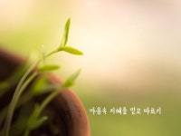 마음속 지혜를 믿고 따르기 | 꽃, 명언