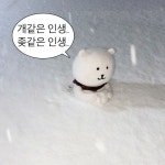 개같은 인생... 좆같은 인생...