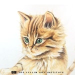 고양이 개체묘사/수원대, 서울여대 기초디자인 기출소재-더끌림미술학원