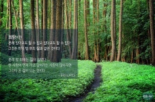 희망이란 본래 있다고도 할 수 없고 없다고도 할 수 없다. 그것은 마치 땅 위의 길과 같은 것이다.