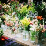 Miniatura de naturaleza :) | 센터피스