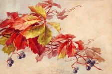 Herbst에 관한 25개의 최상의 Pinterest 이미지 | 수채화, 가을 및 꽃 Herbst