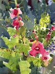 Pin page Pin by Kyeongaee Jeon on 어반 아트 | Painting, Watercolor, Sketch book