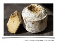 fromage ♡ cheese ♡ Käse ♡ formatge ♡ 奶酪 ♡ 치즈... queso ♡ τυρί ♡ f… | Fromage cheese, Fromage, Lait cru