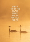 기분 좋은 아침