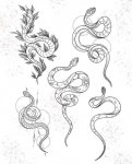 다노님이 뱀&이무기에 올린 아이디어 - 2020 | 타투 아티스트, 뱀 문신, 문신 아이디어