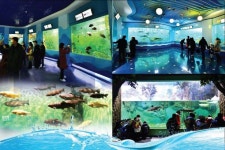 중앙동물원 수족관을 찾아서 (Visit to the Aquarium of Central Zoo) | Aquarium
