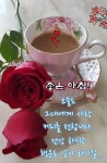 아침 인사와 함께 즐기는 커피 | 일요일 아침 인사 이미지, 좋은 아침 인사, 수요일