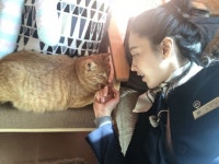 WIP(더블유아이피)엔터테인먼트 | Cats, Animals