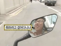 뭐하려고 걸어다니냐 뭐하려고 걸어다니냐 | 웃긴 밈, 개 유머, 나의 감정