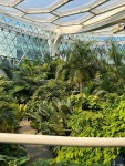 Pin page #seoul botanic park #green #greenhouse #서울특별시 #botanic #botanic garden #garden #plants #flowers #art #beauty... 