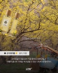 혼자서도 알차고 힐링되는 소도시 여행지 4곳 소개할게요 — 📍함양 마평마을 바베큐와 별멍까지 지리산 아래 푹 쉬기! 📍이천 산수유마을... 