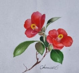 Dessin에 있는 Tiphaine Vandierdonck님의 핀 | 꽃 그리는 법, 꽃그림, 아름다운 꽃 그림