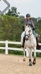Horses/Horseback Riding/Dressage에 있는 Ashley님의 핀