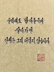 순리대로 받아들이며 살아가면 인생은 그리 어렵지 않습니다 순리대로 받아들이며 살아가면 인생은 그리 어렵지 않습니다 - 2024 | 인생에 관한... 