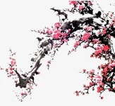 수묵화, 매화, 꽃 일러스트 PNG, 수묵화 매화 이미지 벡터, PSD 파일 - Pngtree