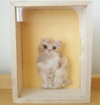 マチルの平面羊毛フェルト　machilus Felted Animals에 있는 マチル님의 핀 | 양모