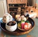 Pin page Pin di full moon su 멍식당 nel 2024