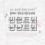 성형외과 SNS 이미지 - 2023 | 플래너