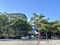 경포대 가볼만한 곳 추천 | 경포대 해수욕장 주차장 | 경포호수 둘레길