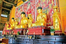 불교예술계도 ‘협동조합’ 바람 분다 - 불교신문 클릭하면 큰 이미지로 볼수 있습니다. | 사찰, 새