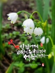 디지털캘리그라피에 있는 youngbok cha님의 핀 | 서체